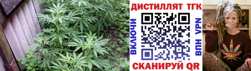 Дистиллят ТГК гашишное масло  OMG рабочий сайт  Домодедово 